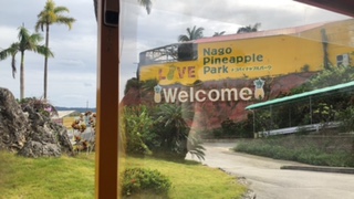 旅行　沖縄　ナゴパイナップルパーク　