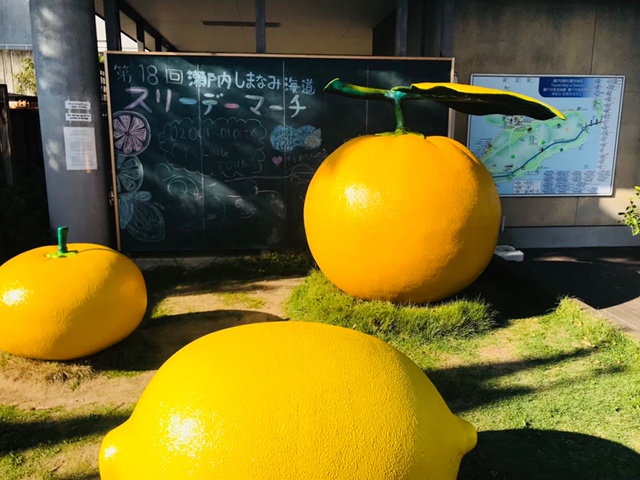 生口島　巨大レモン